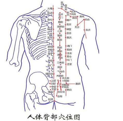 背上長痣|背部有痣图解大全 背部有痣的人看命运